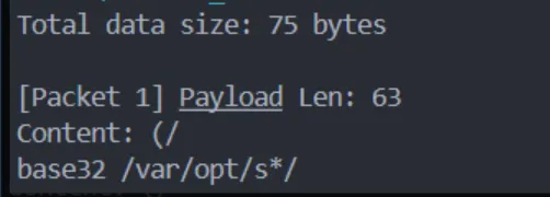 image-20251228190522426